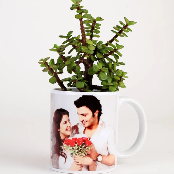 Jade Plant In Personalised Mug White