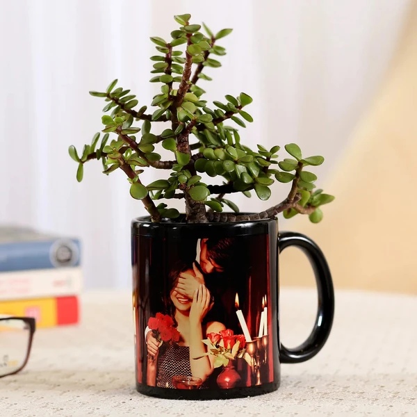 Jade Plant In Black Personalised Mug