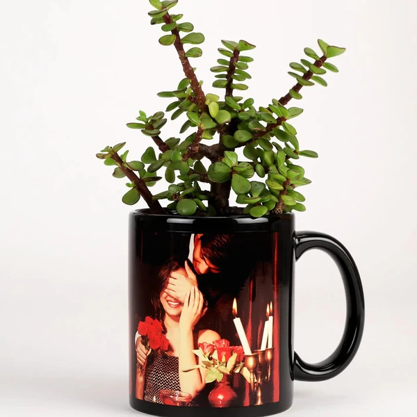 Jade Plant In Black Personalised Mug