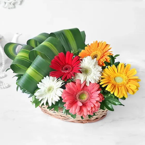 Mix Gerberas Basket