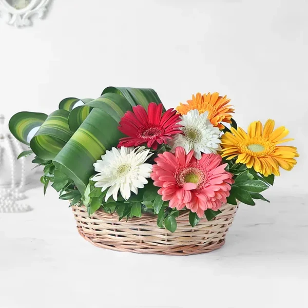 Mix Gerberas Basket