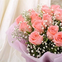 20 Pink Roses Bouquet