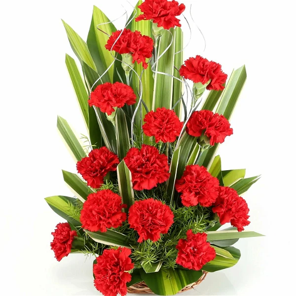 Carnations & Chocolates Basket