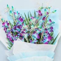 5 Blue Orchids Bouquet