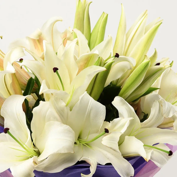 White Lilies Bouquet