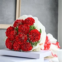 10 Red Carnations Bouquet