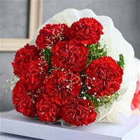10 Red Carnations Bouquet
