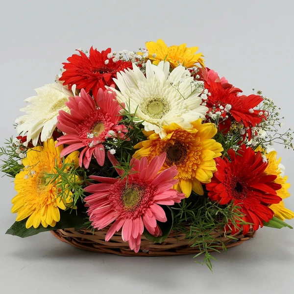 Mix Gerberas Basket