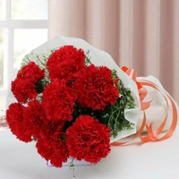 10 Red Carnations Bouquet