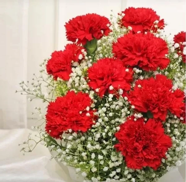 Red Carnation Bouquet