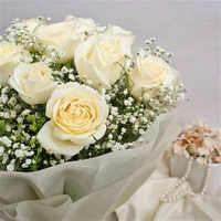 12 White Roses Bouquet