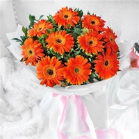 10 Orange Gerberas Bouquet