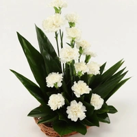 15 White Carnations Basket