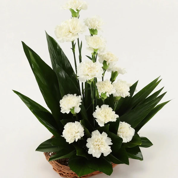 White Carnations Basket