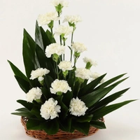 15 White Carnations Basket