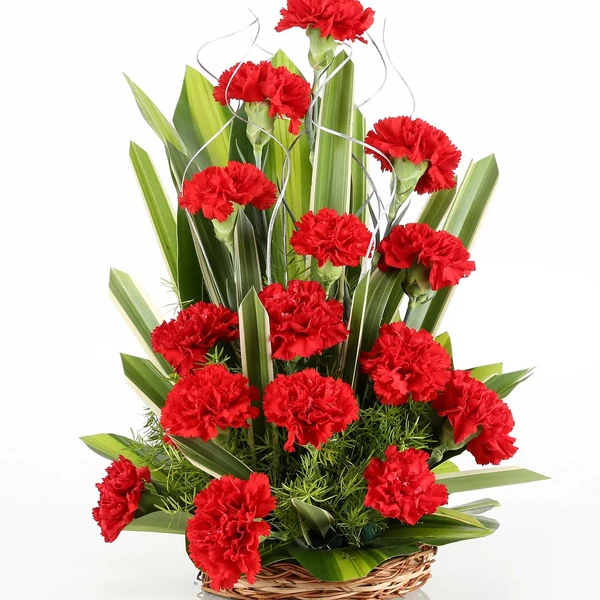 Red Carnations Basket