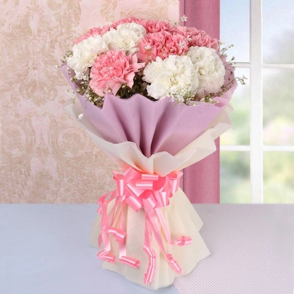 10 Mix Carnations Bouquet
