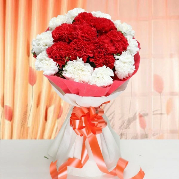 20 Mix Carnations Bouquet