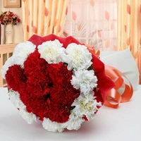 20 Mix Carnations Bouquet
