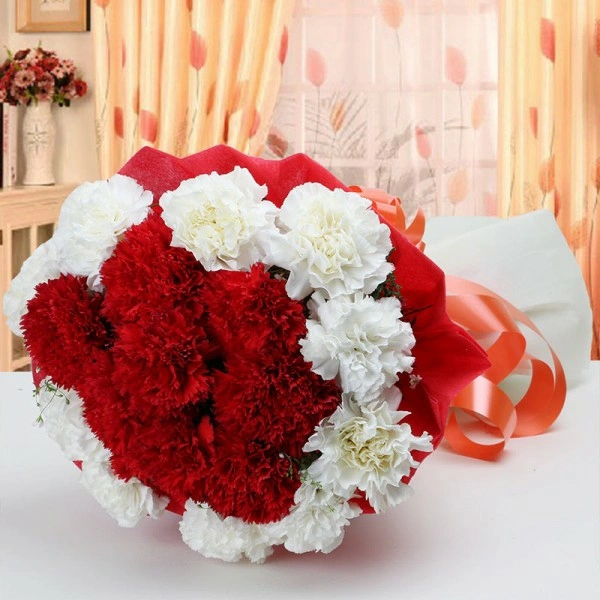 20 Mix Carnations Bouquet