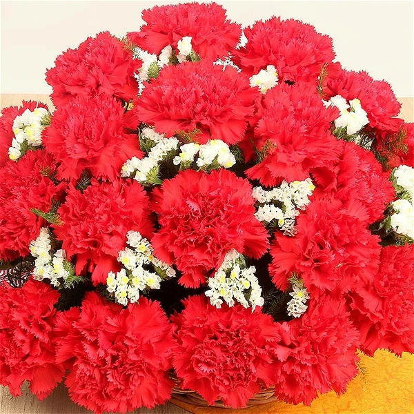 Red Carnations Bouquet