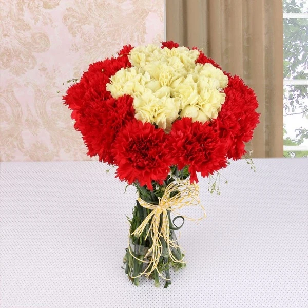 Mix Carnations Bouquet