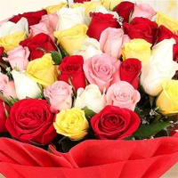 50 Mix Roses Bouquet