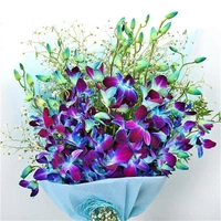 10 Blue Orchids Bouquet