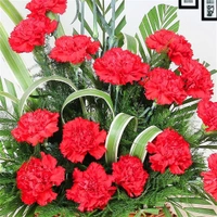 20 Red Carnations Basket