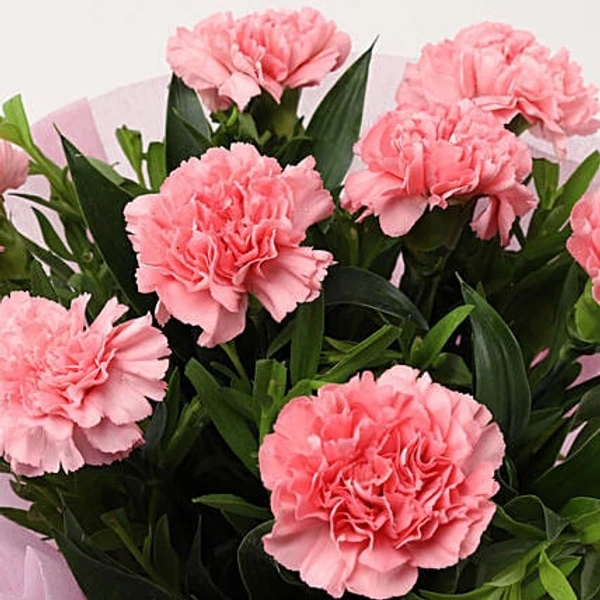 Pink Carnations Bouquet