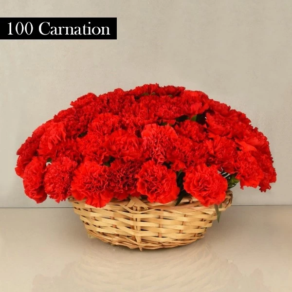 Red Carnations Bouquet