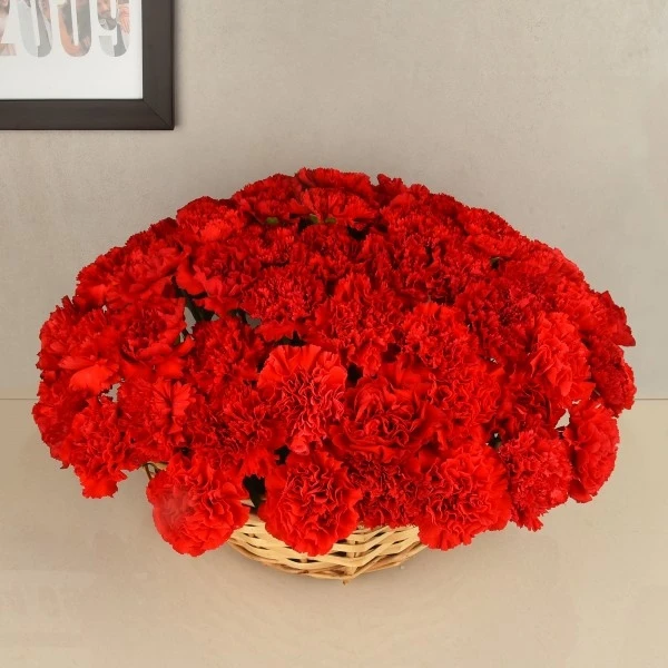 Red Carnations Bouquet