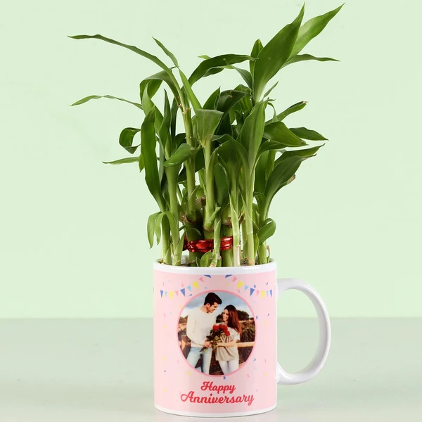 Personalised Anniversary Wishes Bamboo Plant