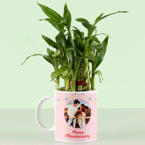 Personalised Anniversary Wishes Bamboo Plant