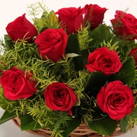 15 Red Roses Basket