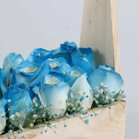 18 White & Blue Roses Basket