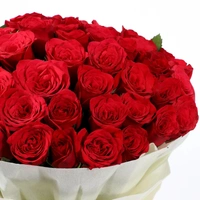 50 Red Roses Bouquet