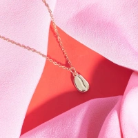 Seashell Charm Necklace