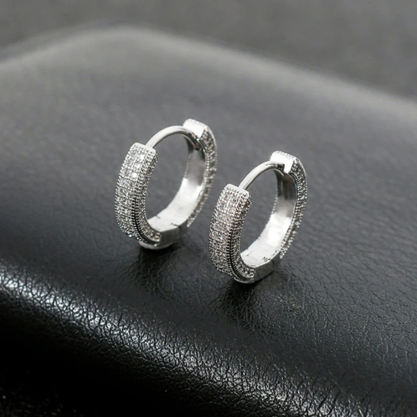 Sophisticated Silver Earrings