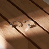 Bare Essentials Silver Earrings