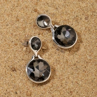 Glinting Luxury Silver Earring