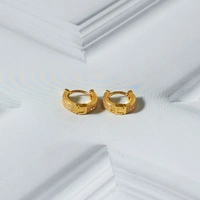 Sophisticated Golden Earrings