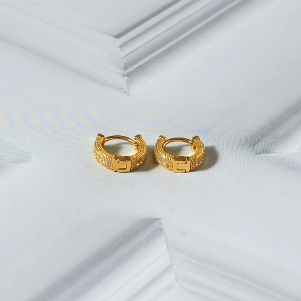 Sophisticated Golden Earrings