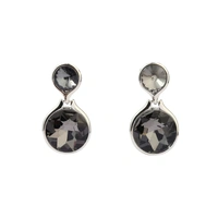 Glinting Luxury Silver Earring