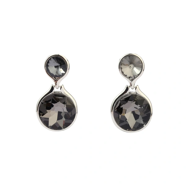 Glinting Luxury Silver Earring