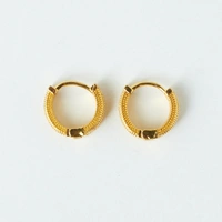 Sophisticated Golden Earrings