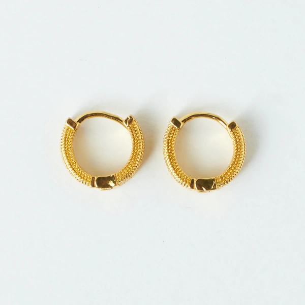 Sophisticated Golden Earrings