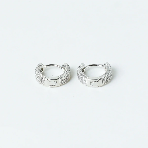 Sophisticated Silver Earrings