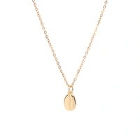 Seashell Charm Necklace