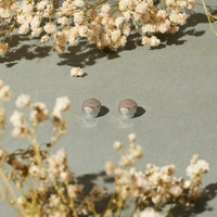 Aaron Silver Studs